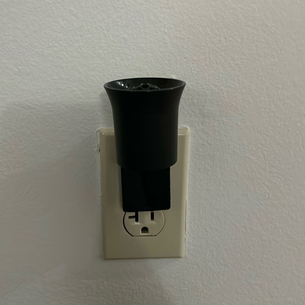 Bath and Body Works Wallflower Plug